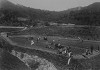 写真8-1 昭和12年の農作業風景（白木町）
