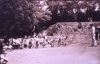 写真46 本丸西門の生垣（古写真）