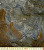 写真15 サイ足跡化石