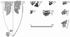 図11 大鼻遺跡出土縄文時代早期土器実測図