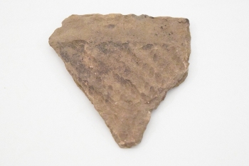 �ꕶ�y��i�쑺��Ձj