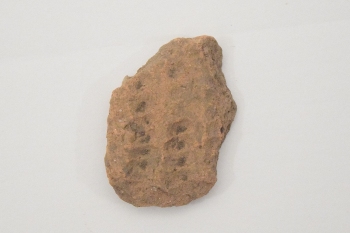 �ꕶ�y��i�쑺��Ձj