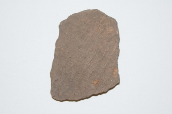 �ꕶ�y��i�쑺��Ձj