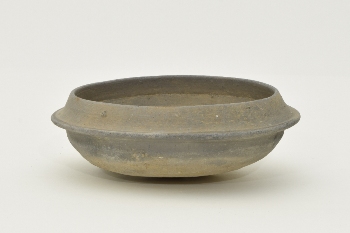 �T�D�{�b�횭�g