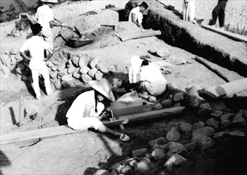 �Q�X�D�؉��Õ����@�������i�@�l