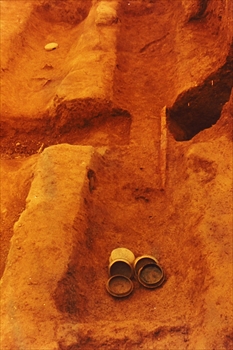 �؉��Õ���̕��╨�o�y�󋵁@�T�R�s�i�܂��Ȃݕ������f���ǁj