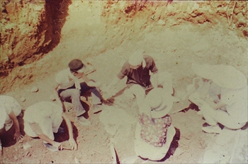 �R�Q�|�S�D�؉��Õ����@�������i�@�T�R�s�i�܂��Ȃݕ������f���ǁj