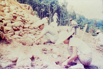 �R�Q�|�U�D�؉��Õ����@�������i�@�T�R�s�i�܂��Ȃݕ������f���ǁj