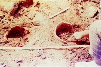 �R�Q�|�V�D�؉��Õ����@�������i�@�T�R�s�i�܂��Ȃݕ������f���ǁj