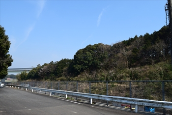 ���݂̖؉��Õ�