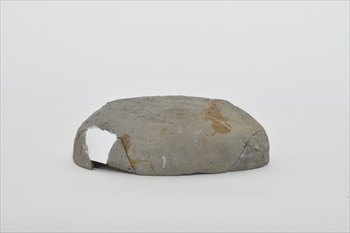 �S�O�D�{�b�횭�W�i�������Õ��Q�U�����j