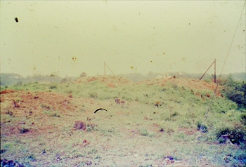 �U�O�|�Q�D�������Õ��Q���i