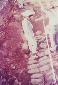 �U�O�|�T�D�������Õ��Q�S�����Ύ����������i