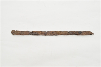 �����i�����Õ��Q 14�����j