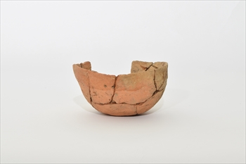 �y�t��q�i�����Õ��Q 22�����j