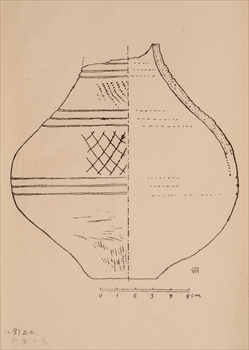 ���ʔŁE�T�R���Z�����╨�}