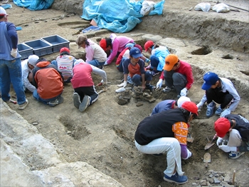 �T�R���V�ېՑ̌����@���i