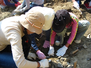 �T�R���V�ېՑ̌����@���i