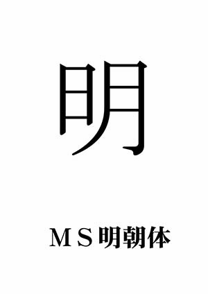 MS�����́u���v