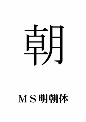 MS�����́u���v