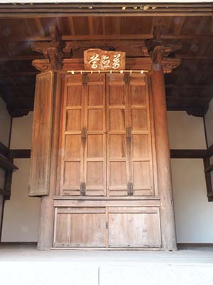 �W�D�~�����o������