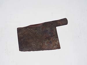 49�D�^�e����