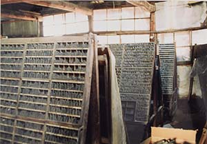 61�D�P�[�X��