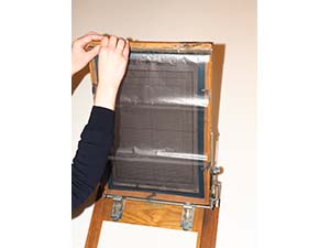 �C���N�����