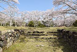 ���@���R����