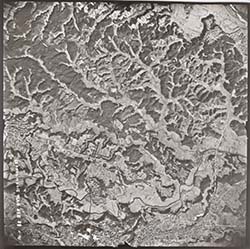 �ČR�B�e�󒆎ʐ^�@�q�S�V�O