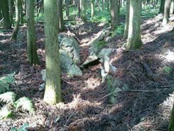 �������Õ��Ύ��i�ʐ^�E���ʐ}�j