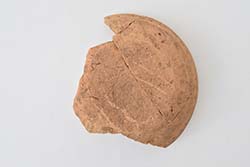 �����y��