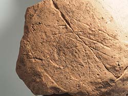 �����y��