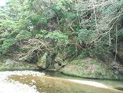 �V����A���i�i�k����j