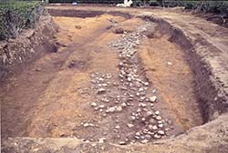 ���H����