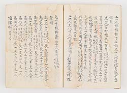 ���쎮�@����O�\�l