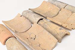 �s�w�蕶�����@�ۊ��E����