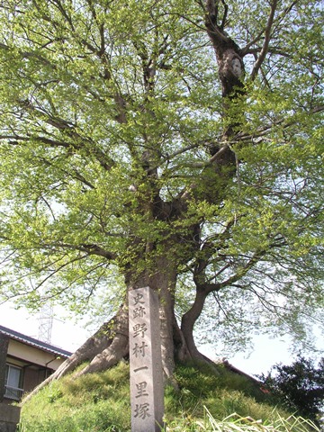 �쑺�ꗢ�ˁi�̂ނ炢����Â��j